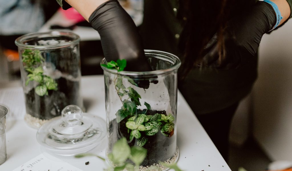 zart-terrarium-keszites